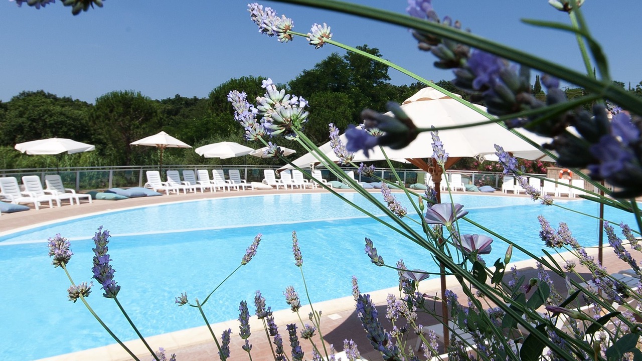 Photo of Outdoor in Guardistallo