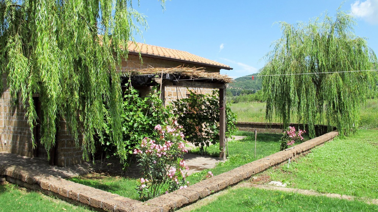 Photo of Others in Montefiascone