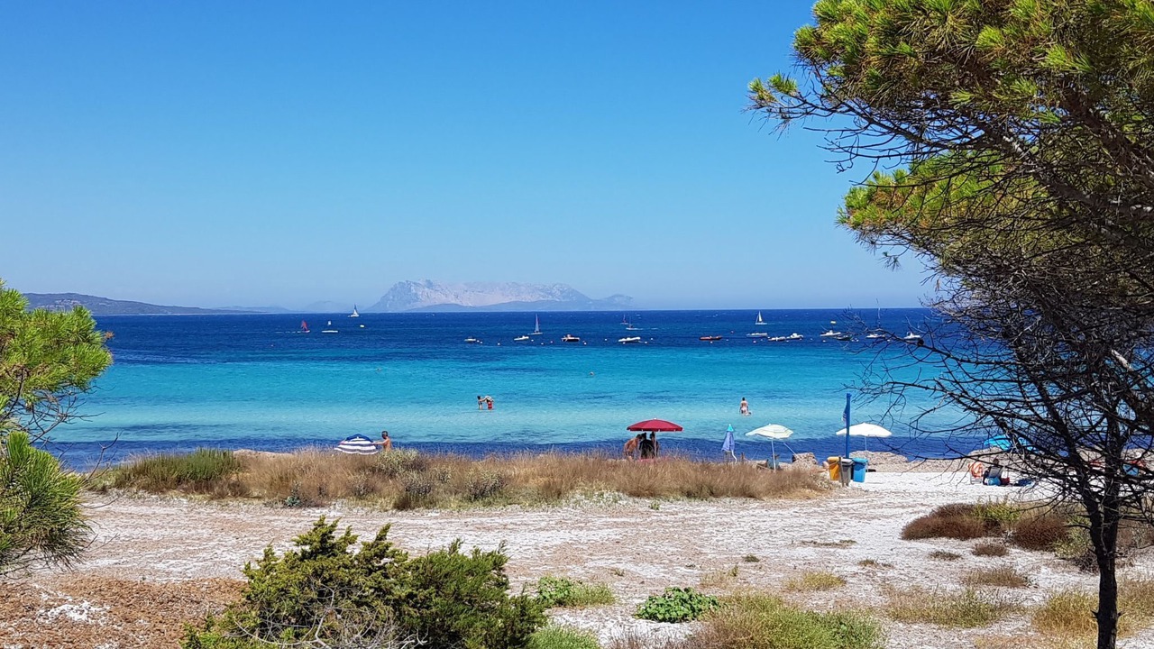 Photo of Others in Tanaunella