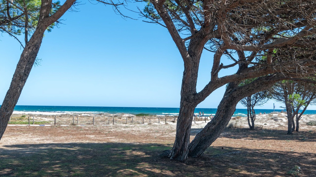 Photo of Others in Tanaunella