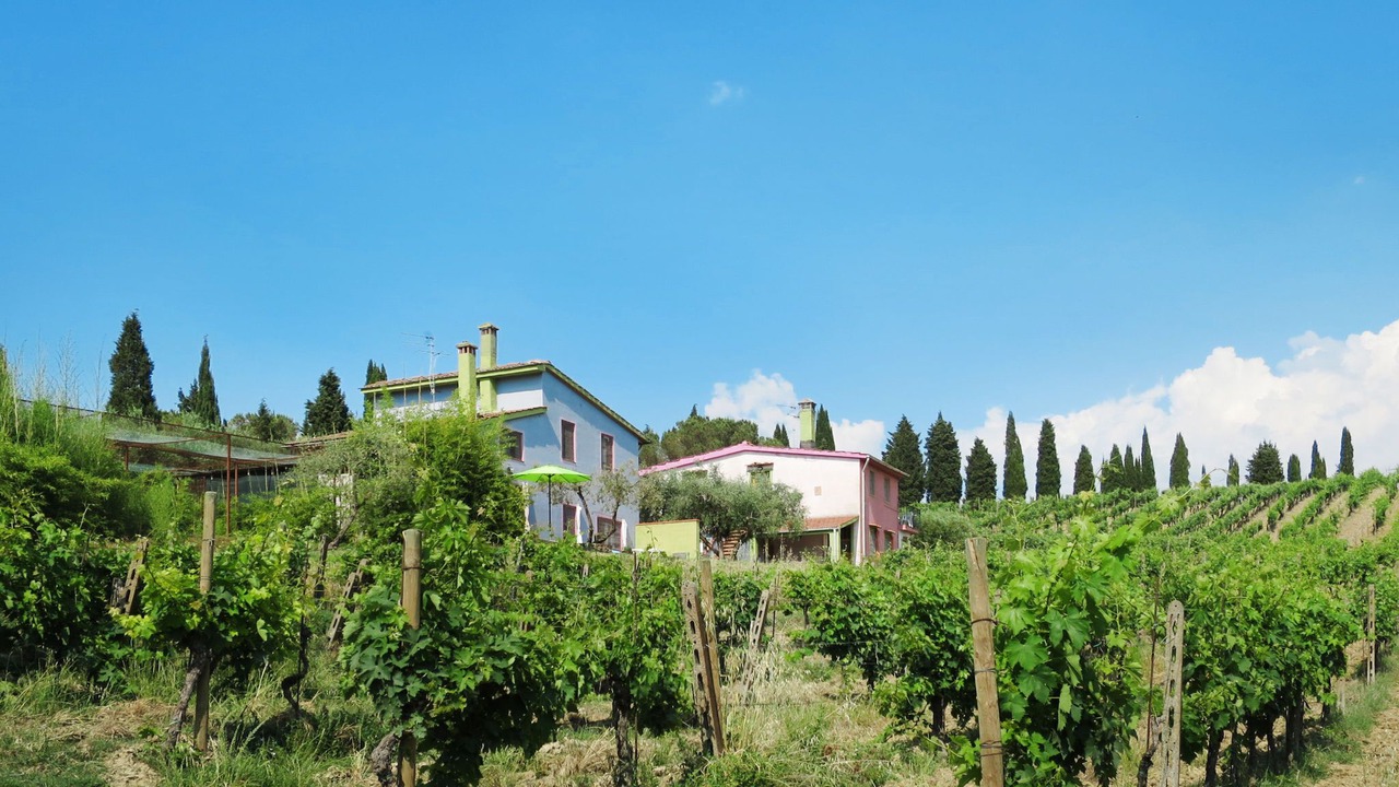 Photo of Others in Certaldo