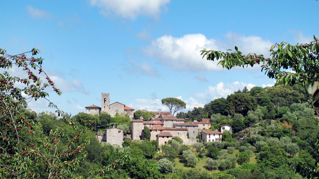 Photo of Others in Stabbiano