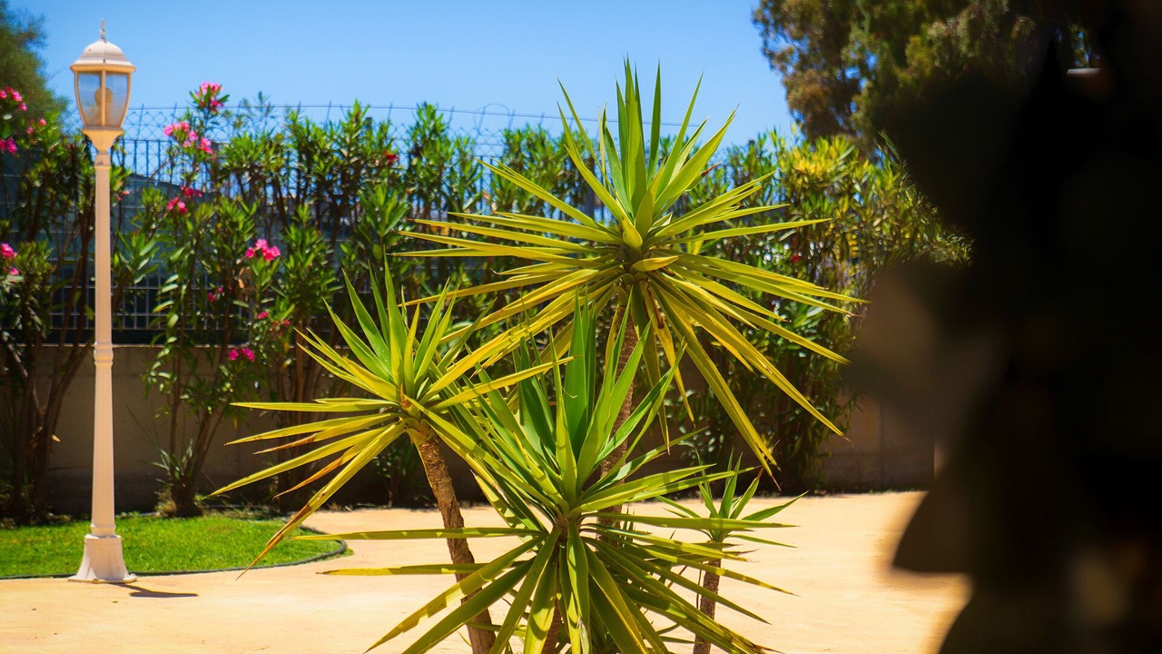 Photo of Outdoor in Arbatax