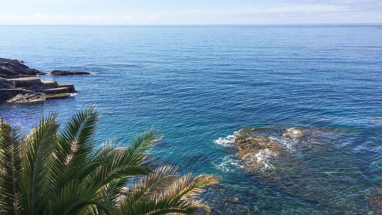 Photo of Others in Pieve Ligure