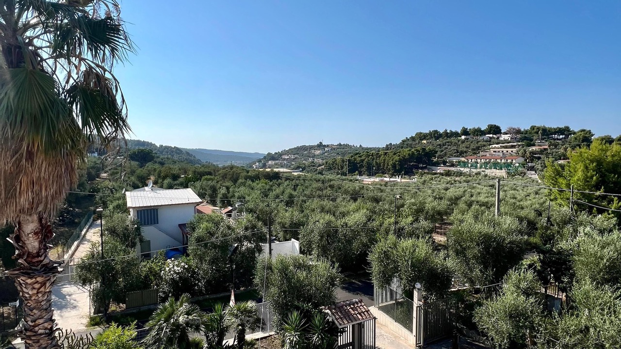 Photo of Outdoor in Defensola