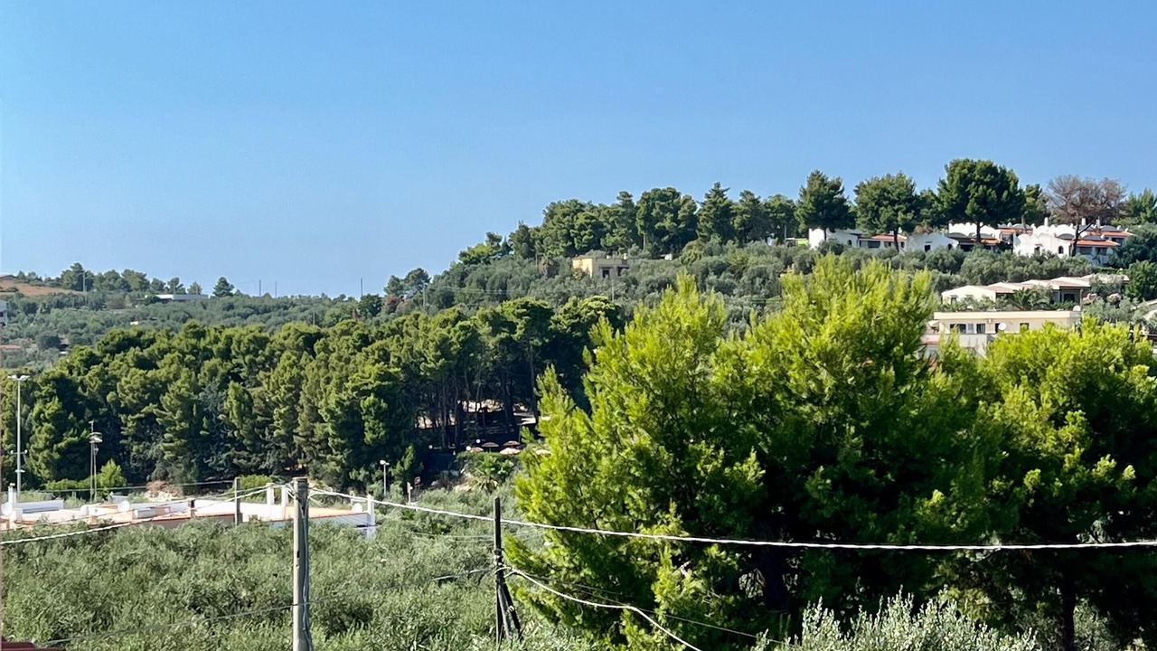 Photo of Outdoor in Defensola