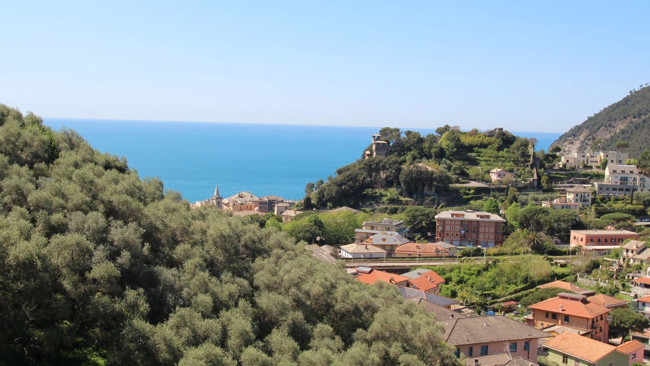 Photo of Others in Moneglia