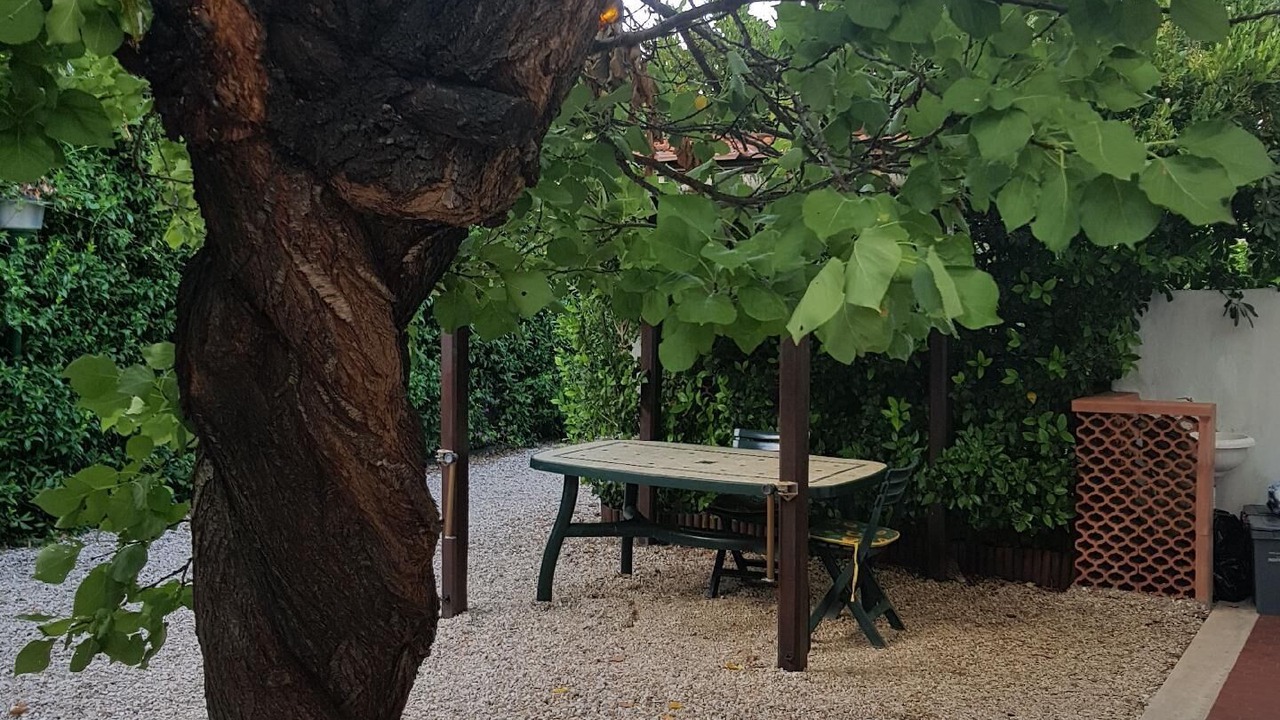 Photo of Outdoor in Santa Severa