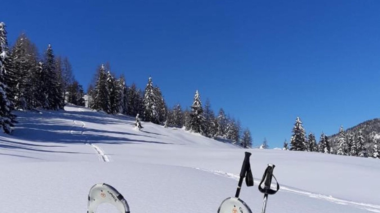 Photo of Others in Auronzo di Cadore