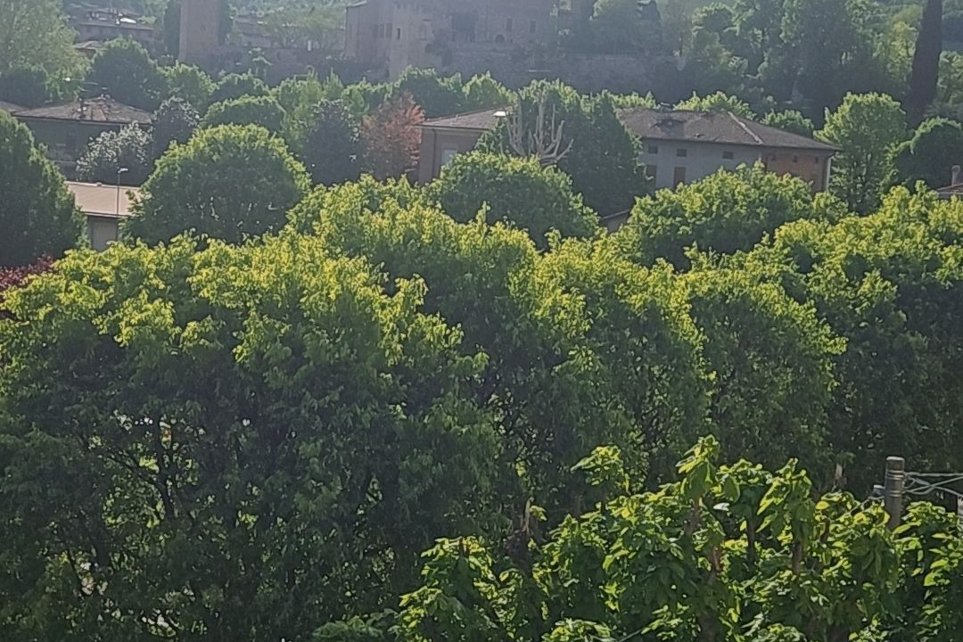 Photo of Bedroom in Castellarano