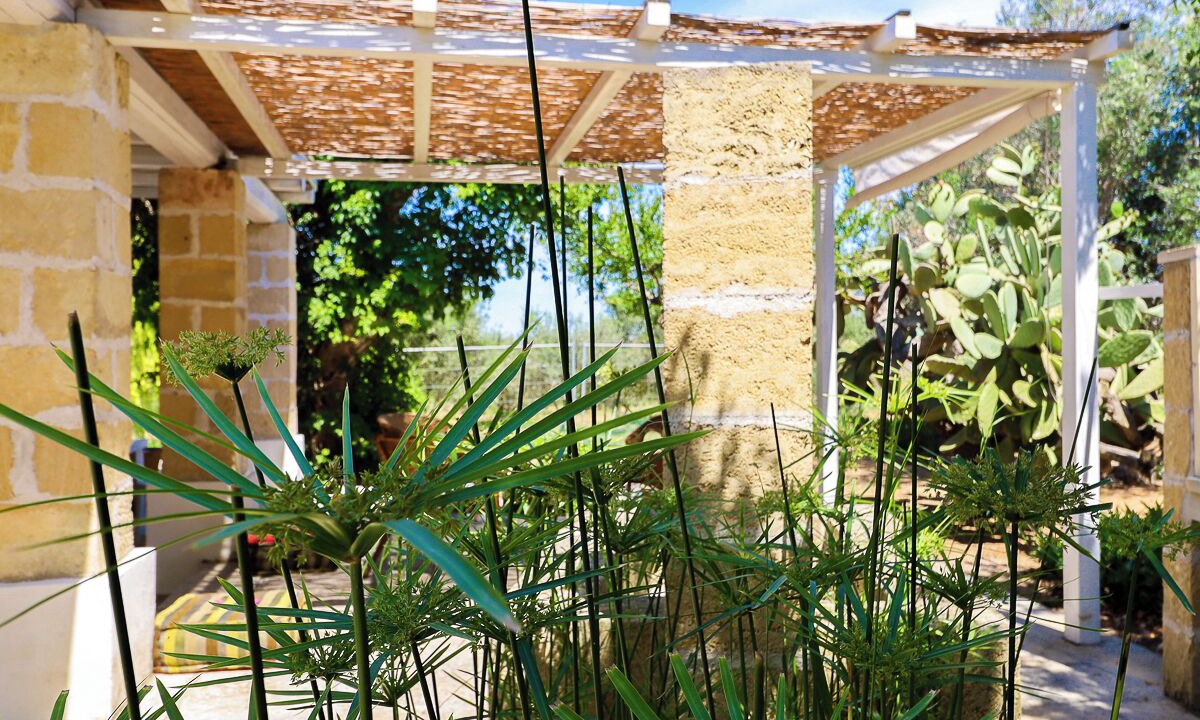 Photo of Outdoor in Matino
