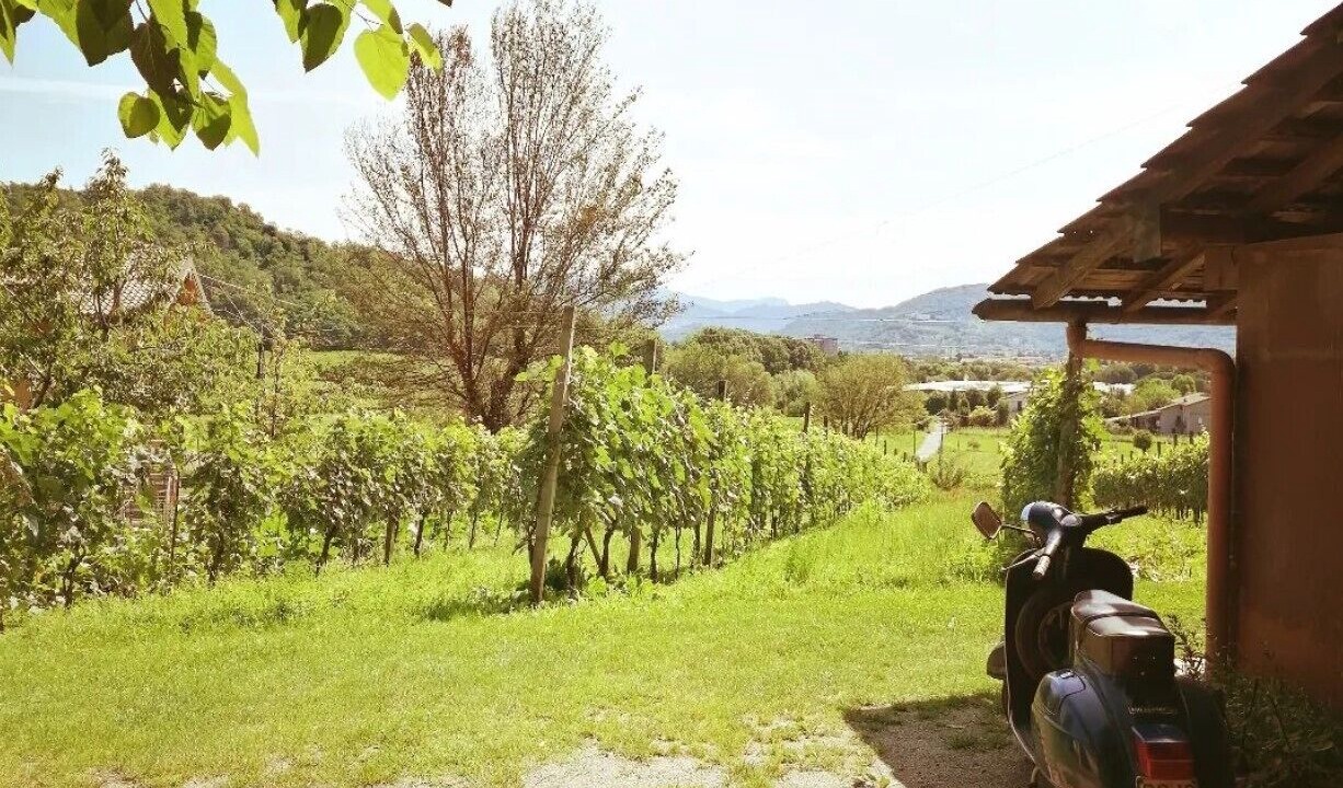 Photo of Outdoor in Costa di Mezzate