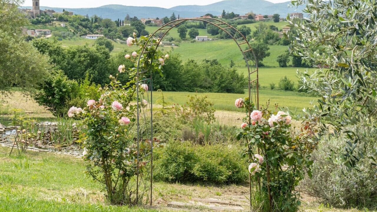 Photo of Outdoor in Farnetta