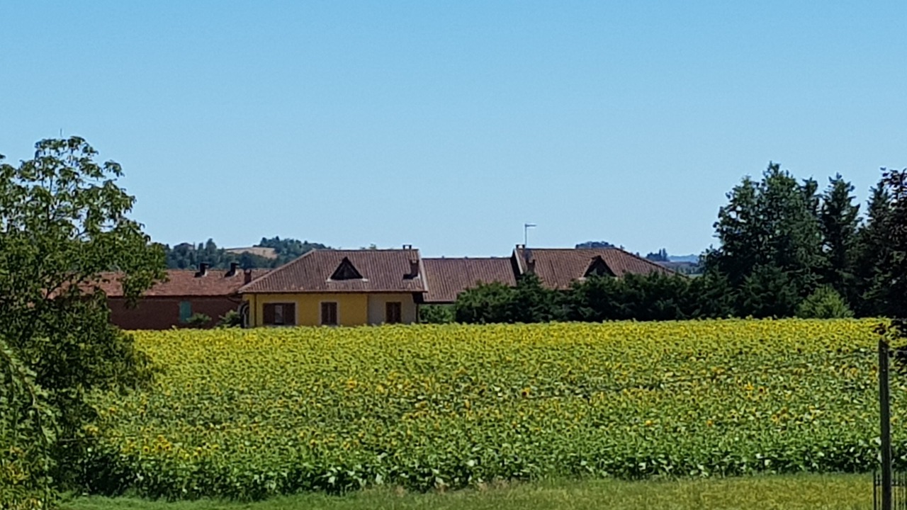 Photo of Outdoor in Tigliole