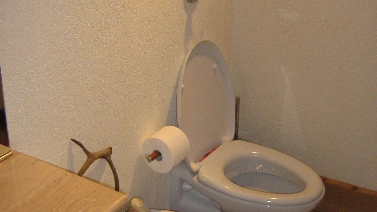 Photo of Bathroom in Valsavarenche