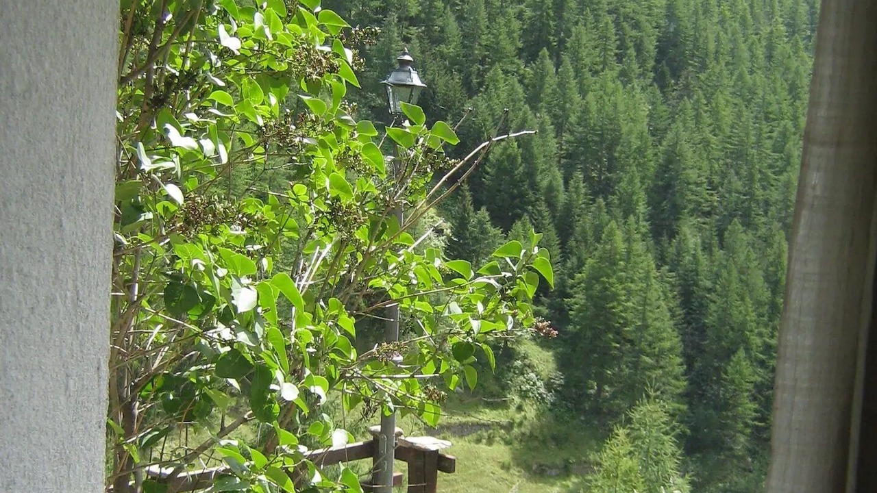 Photo of Others in Valsavarenche