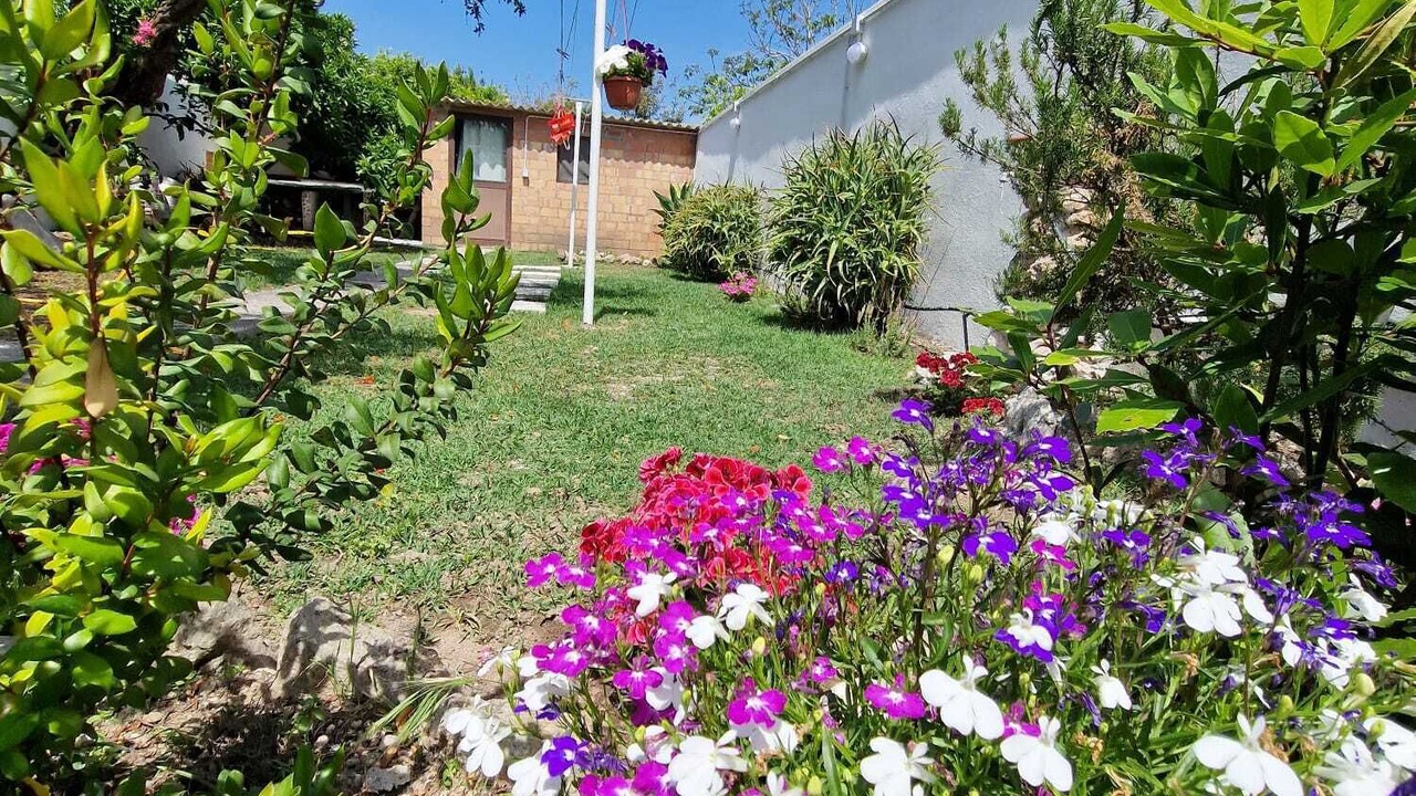 Photo of Outdoor in Riola Sardo