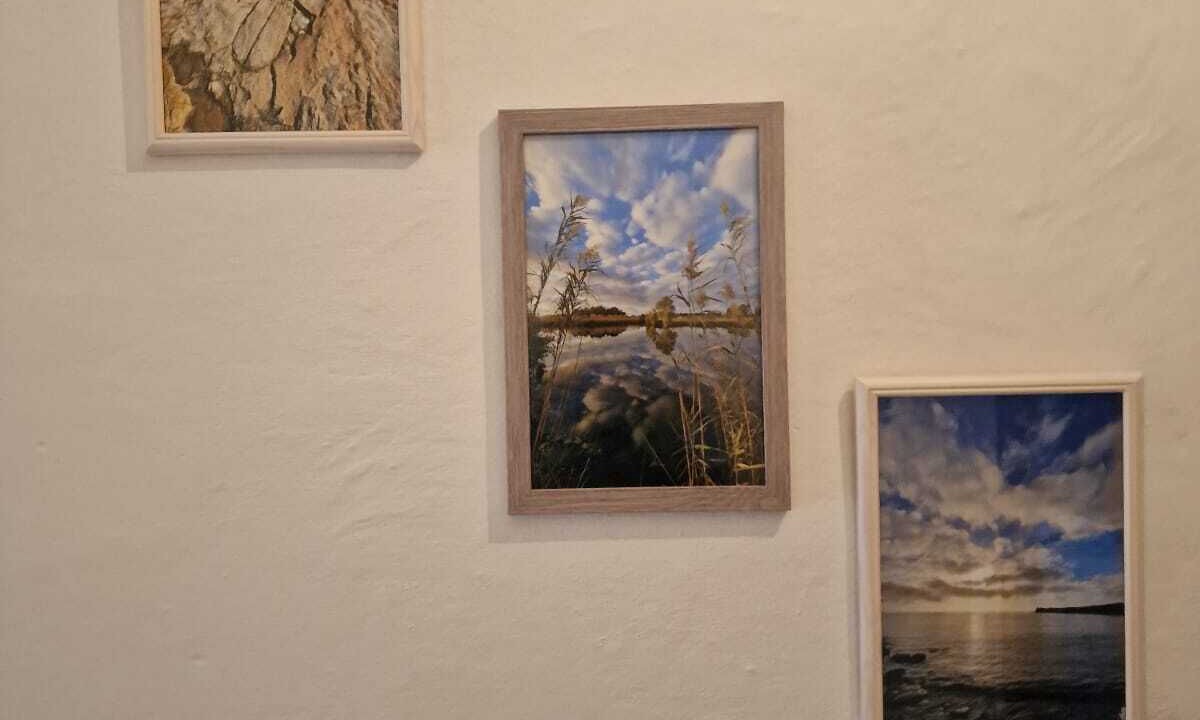 Photo of Others in Riola Sardo