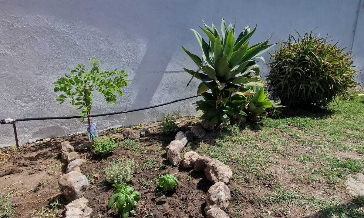 Photo of Outdoor in Riola Sardo