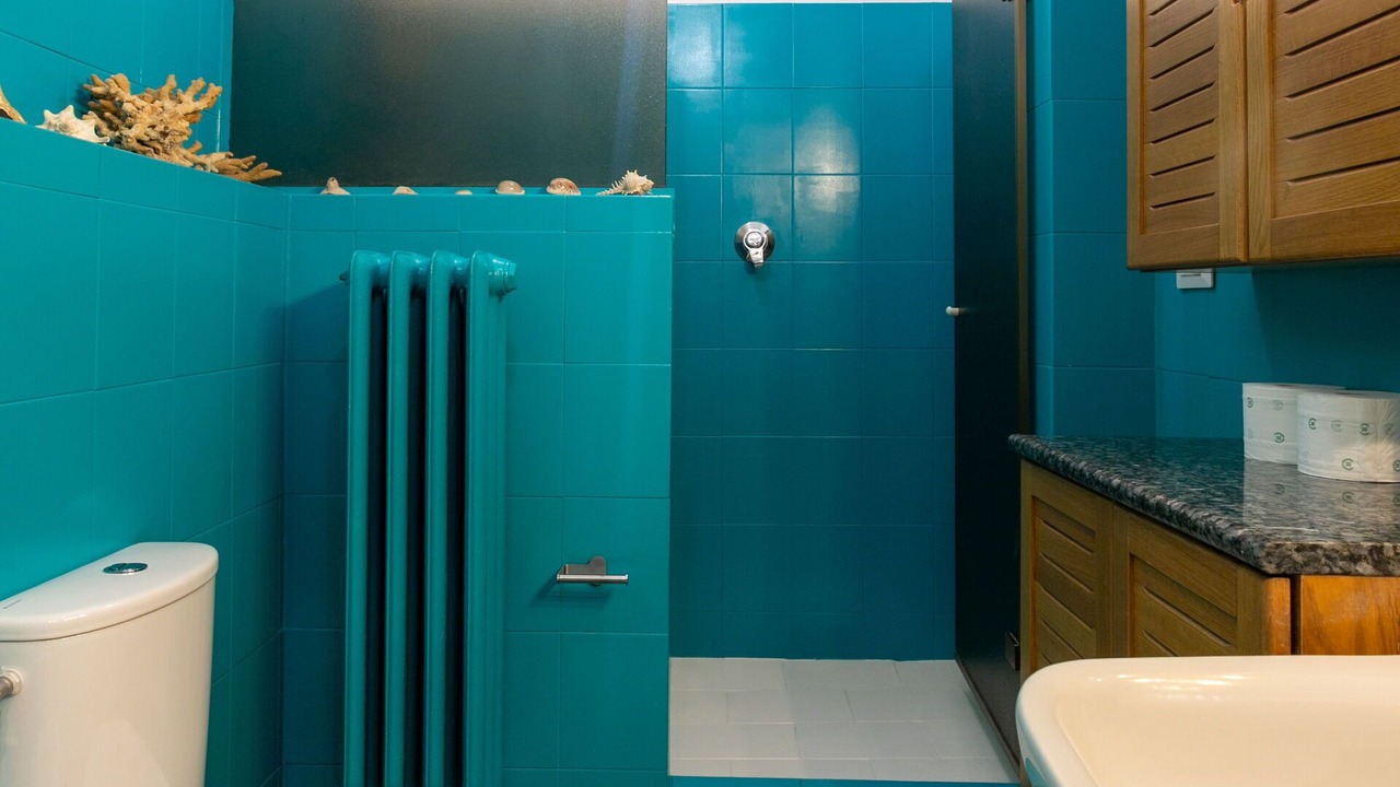 Photo of Bathroom in Monza