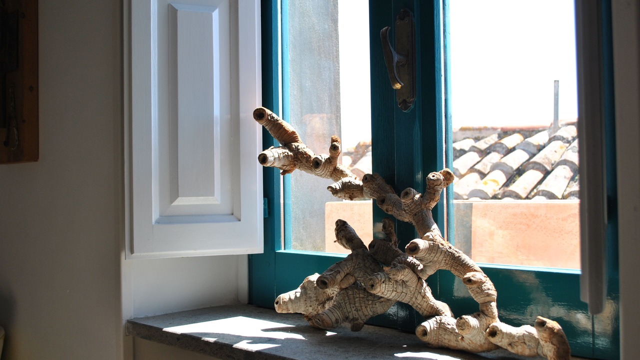 Photo of Others in Castellabate Historic Centre