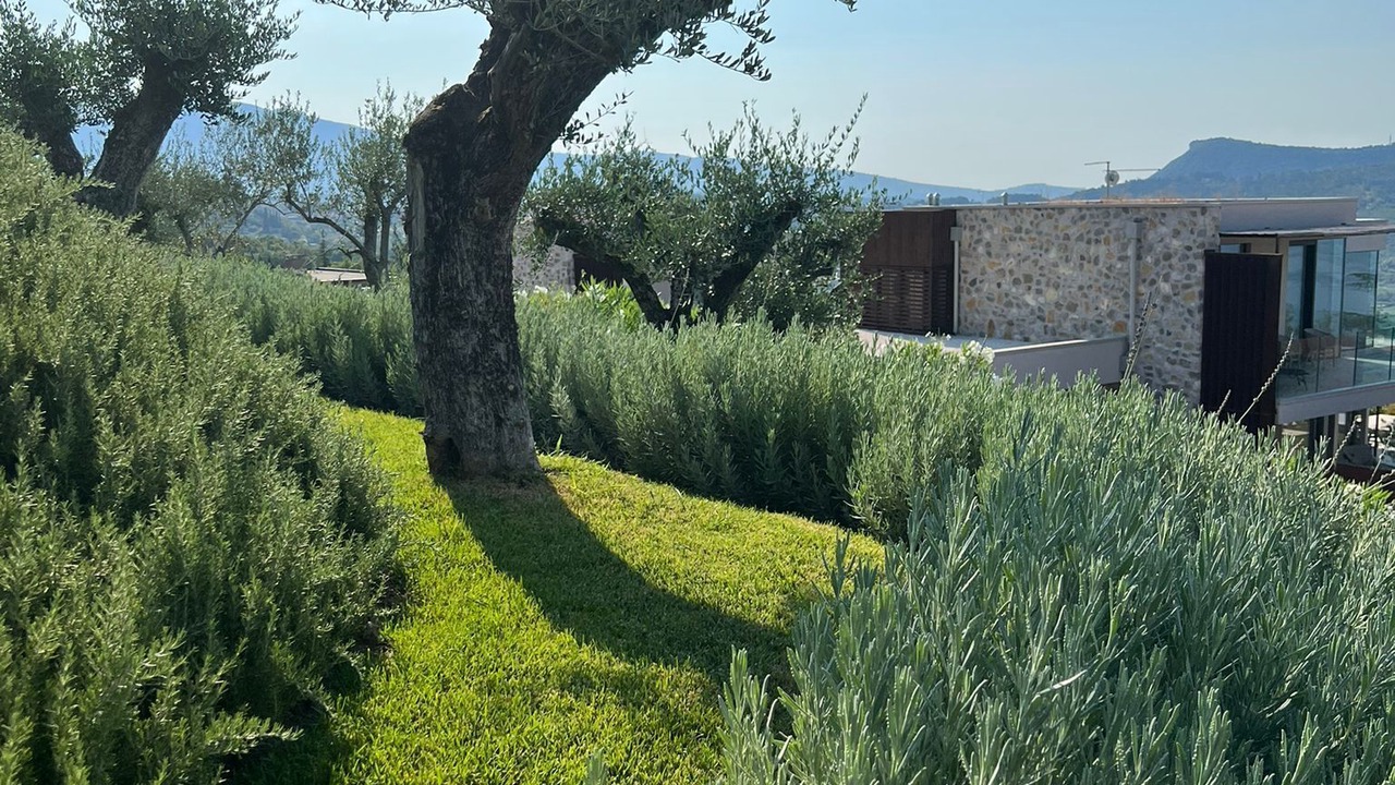 Photo of Outdoor in Marciaga