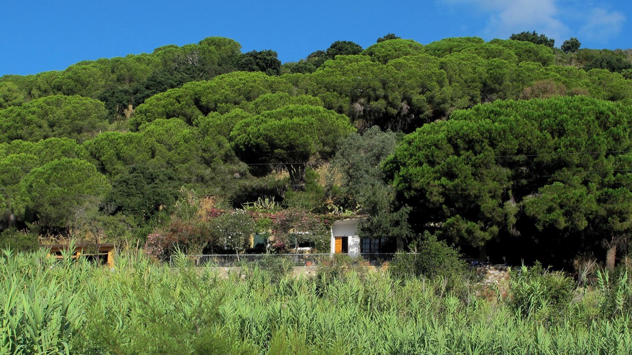 Photo of Outdoor in Mola