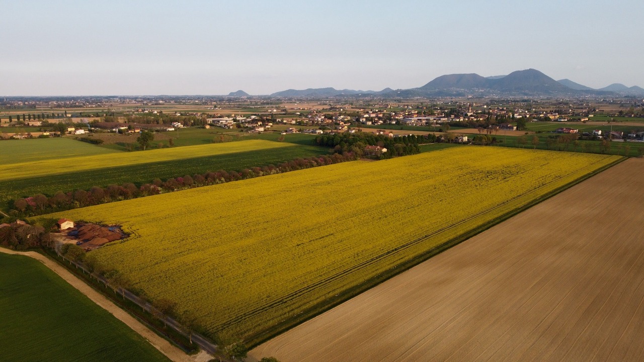 Photo of Outdoor in Castegnero