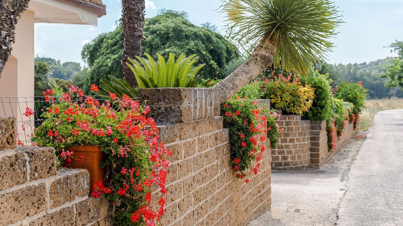 Photo of Outdoor in Loreto