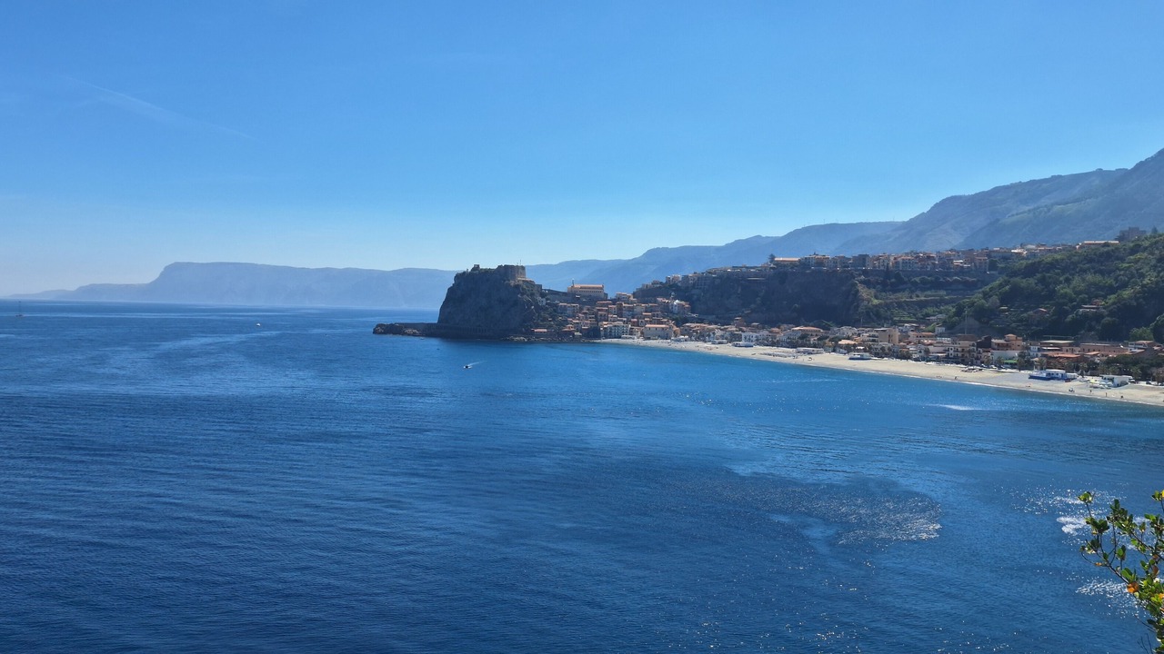 Photo of Others in Scilla