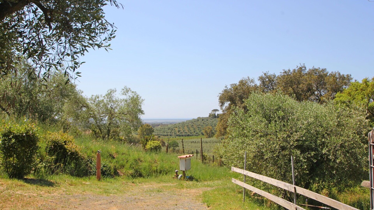 Photo of Outdoor in Castiglione della Pescaia