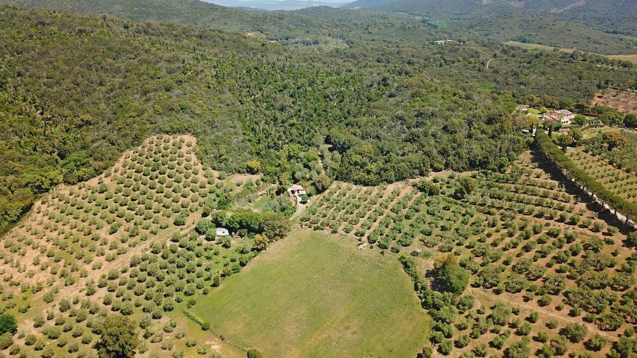 Photo of Outdoor in Castiglione della Pescaia