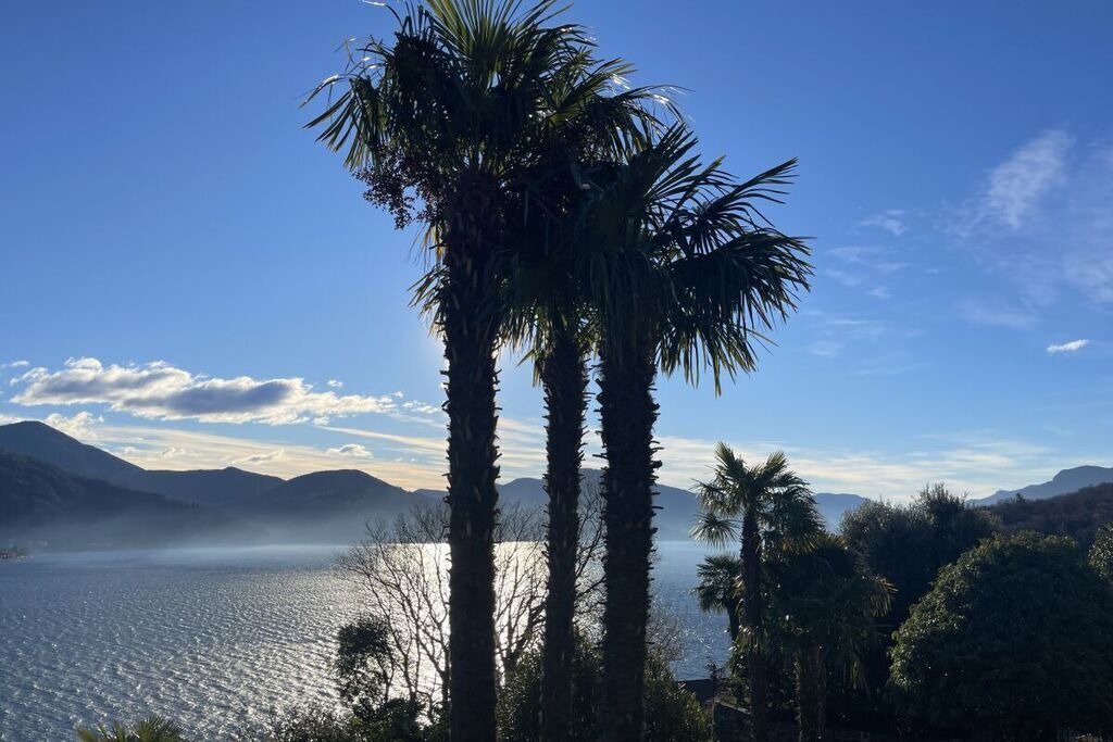 Photo of Outdoor in Cannobio