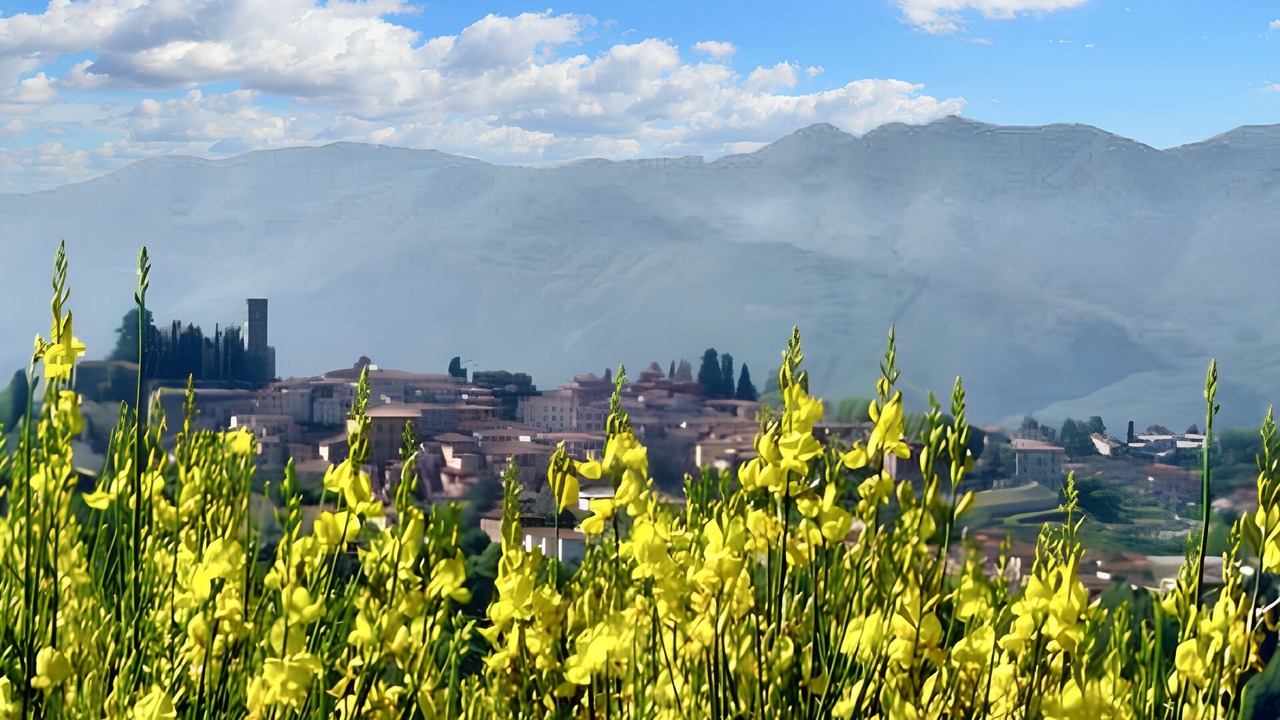 Photo of Others in Barga