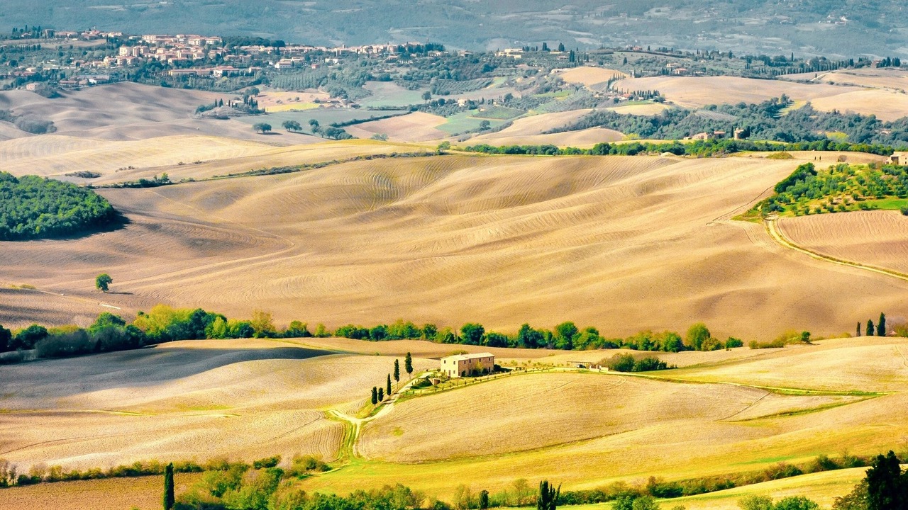 Photo of Others in Barga