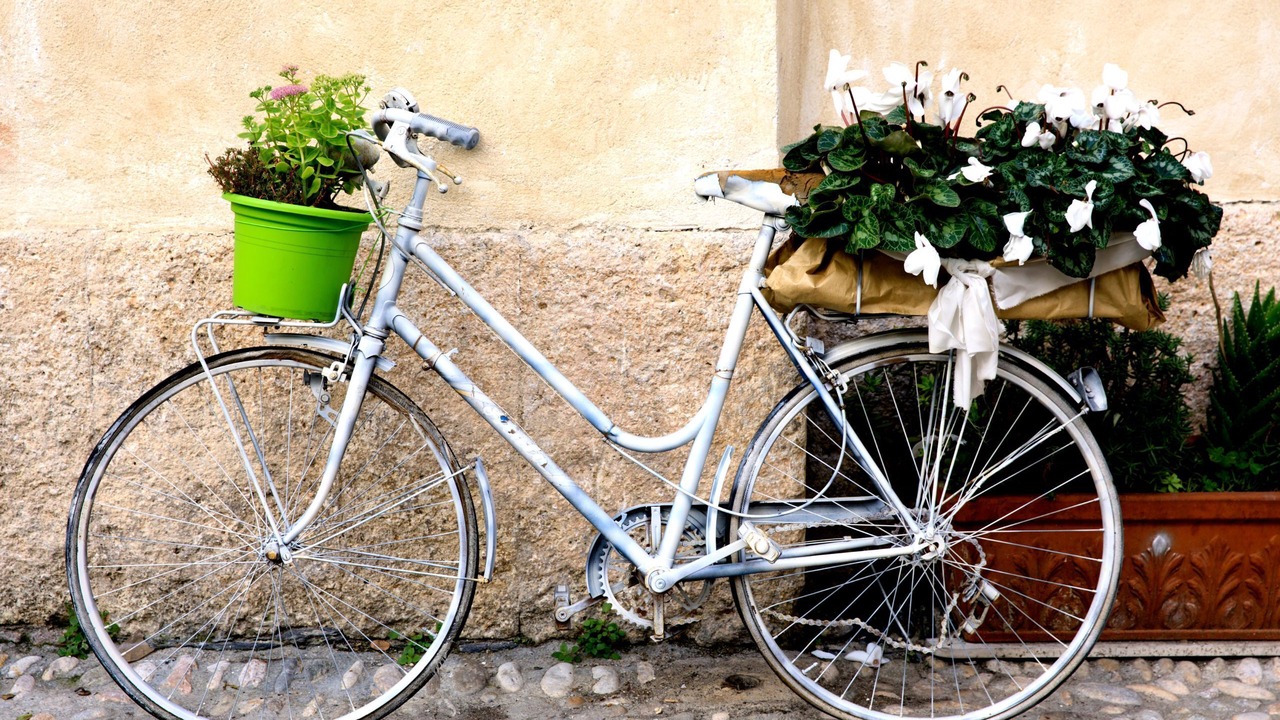 Photo of Others in Finalborgo