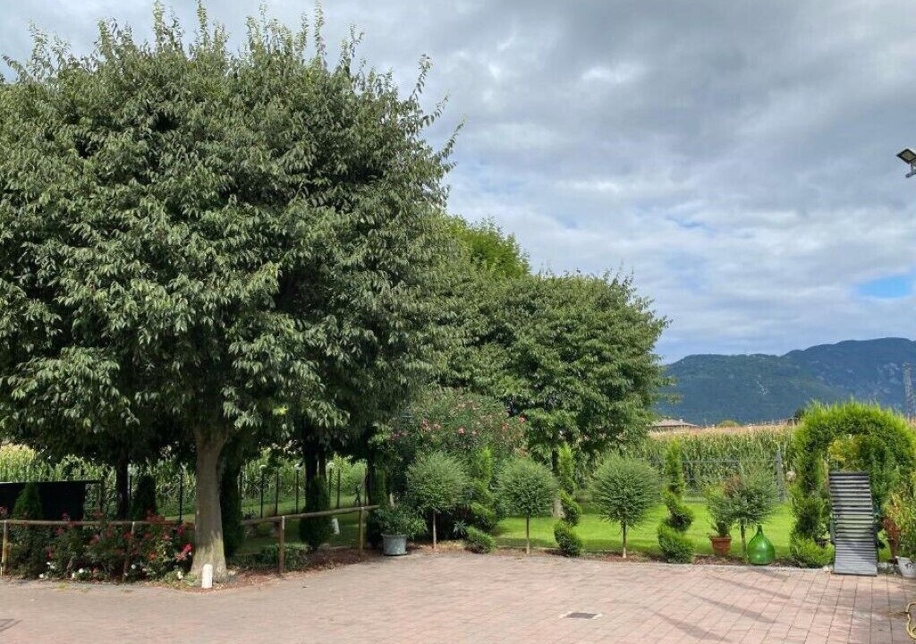 Photo of Outdoor in Romano d'Ezzelino