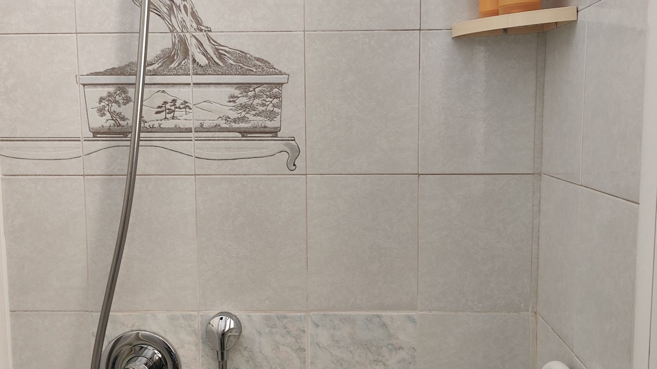 Photo of Bathroom in Asti