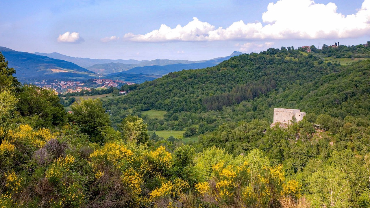 Photo of Others in Ortignano Raggiolo