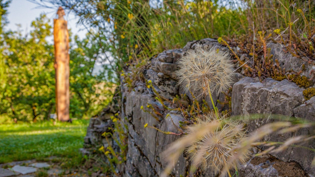 Photo of Outdoor in Ortignano Raggiolo