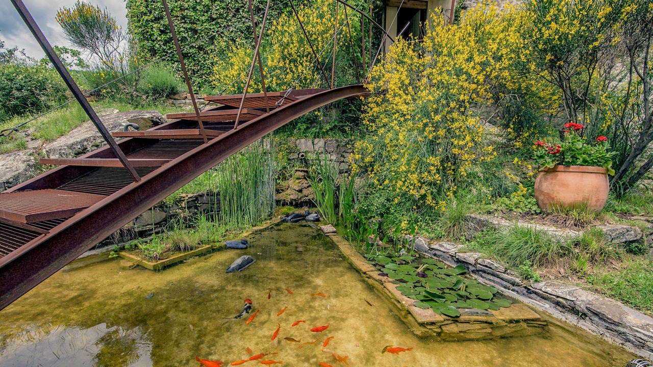 Photo of Outdoor in Ortignano Raggiolo