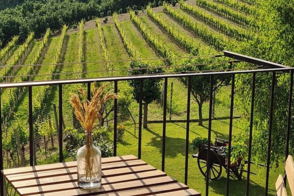 Photo of Outdoor in Barbaresco