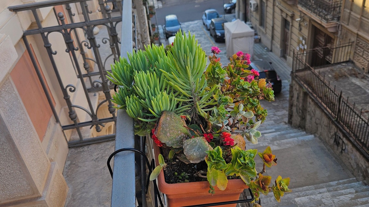 Photo of Outdoor in Reggio Calabria