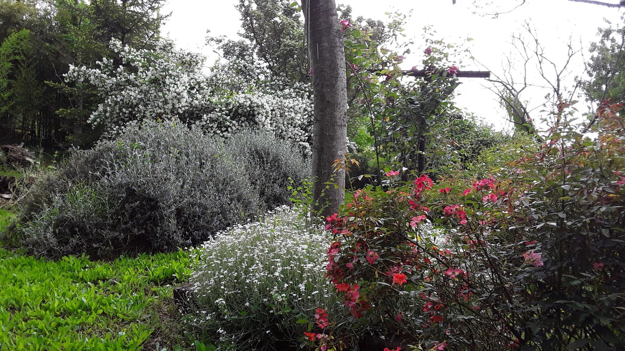 Photo of Outdoor in Otricoli