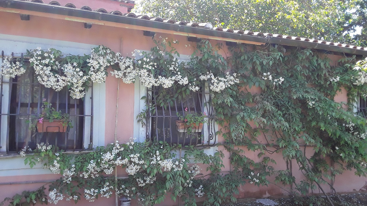 Photo of Outdoor in Otricoli