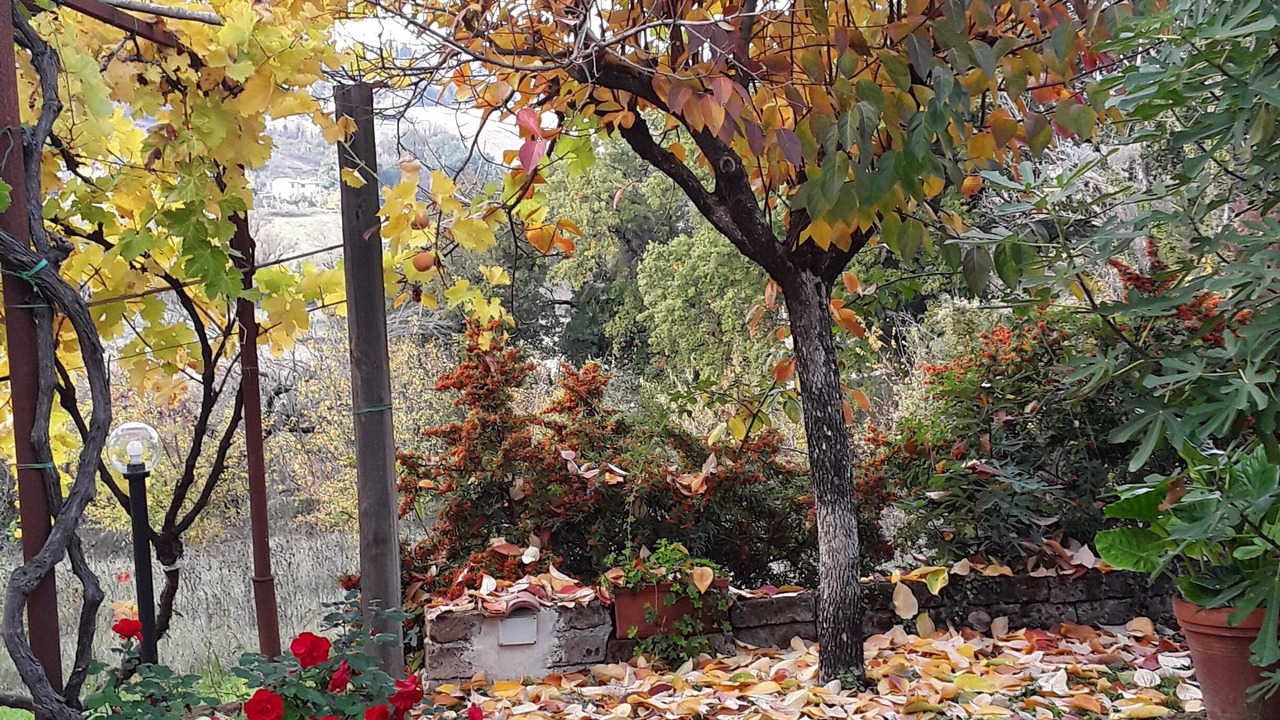 Photo of Outdoor in Otricoli