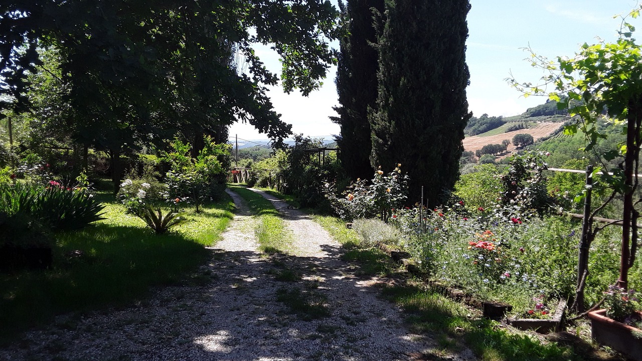 Photo of Outdoor in Otricoli