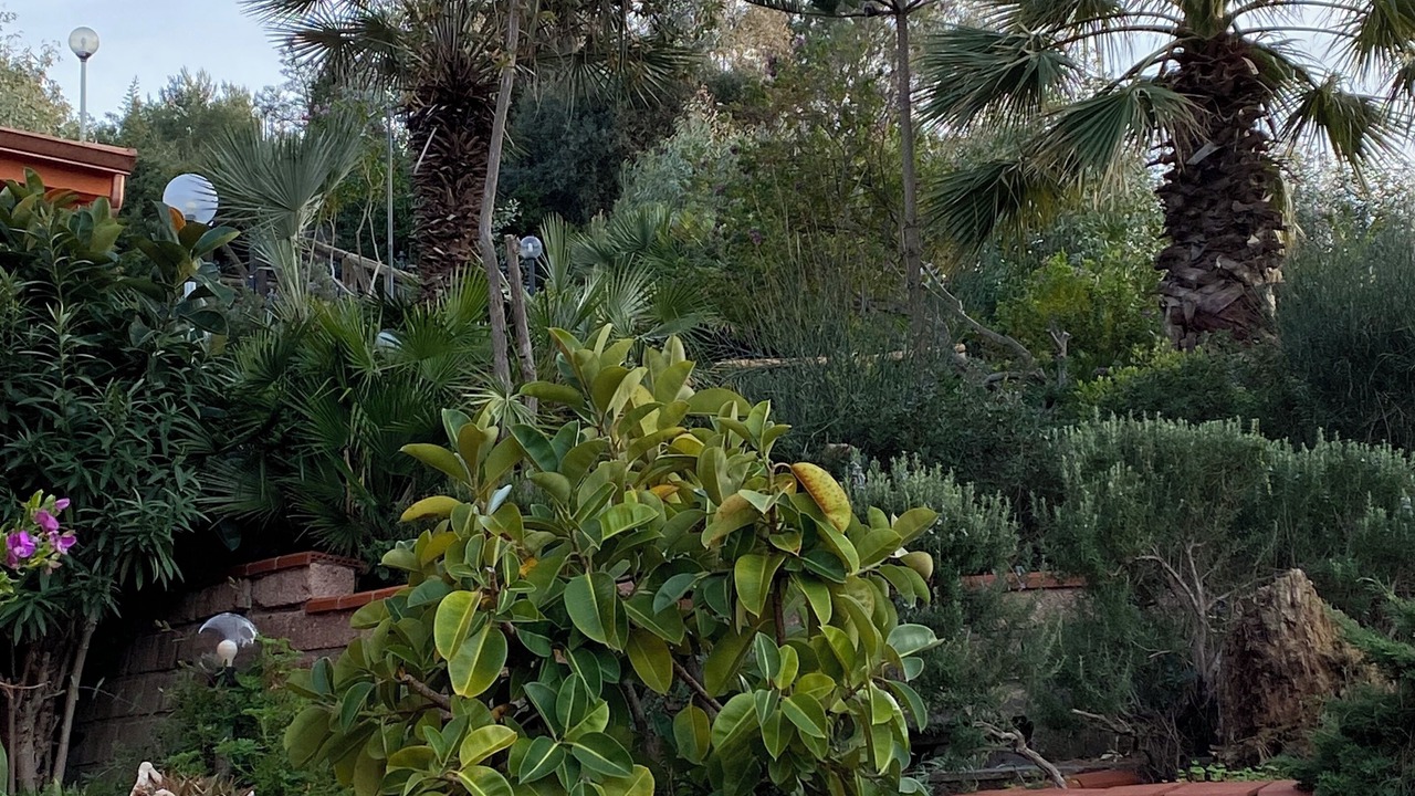 Photo of Outdoor in Bosa