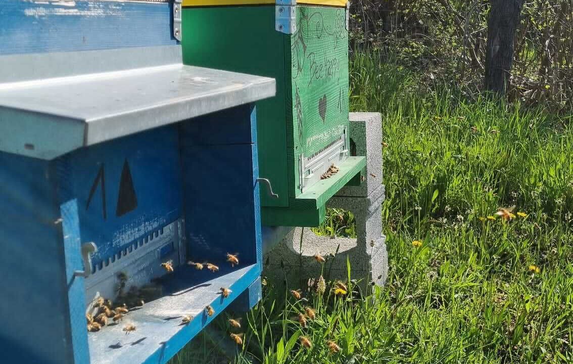 Photo of Outdoor in Magliolo