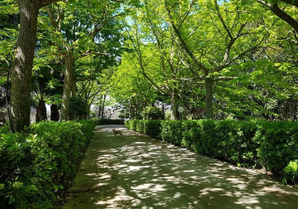 Photo of Outdoor in Matino
